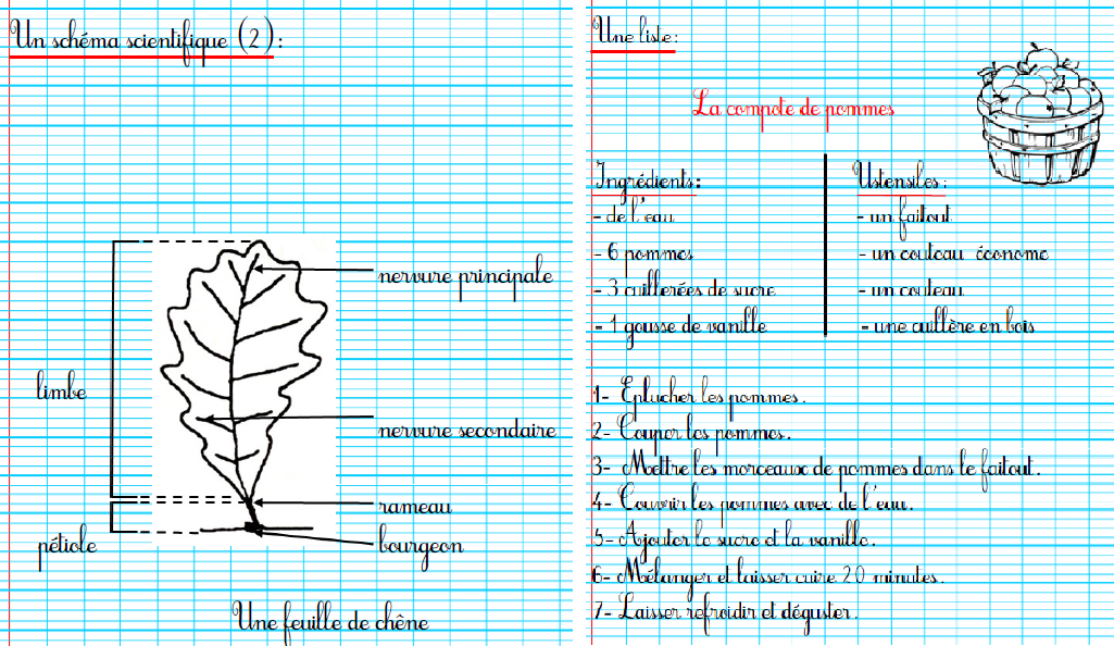 Fichier d'écriture CE1 et CE2 - À la croisée des savoirs